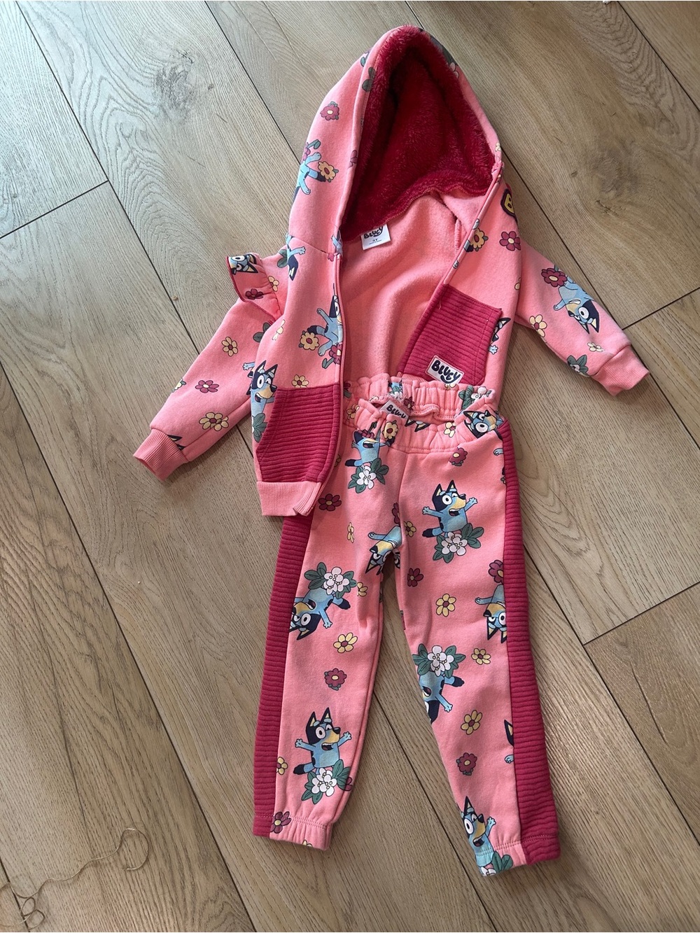 Cozy Bluey Kids Hoodie & Joggers Set